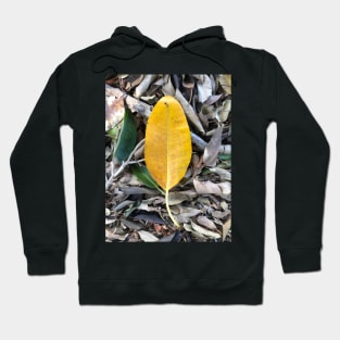 Mustard Leaf Hoodie